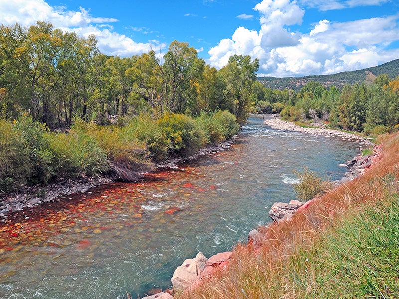 Idaho’s rivers, lakes and streams support wildlife such as native trout.
(Robert Cicchetti / Shutterstock)