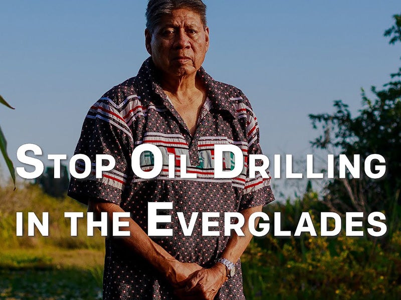 Stop oil drilling in the Everglades.