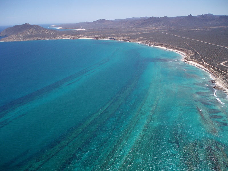 An aerial view of Cabo Pulmo.
(Photo courtesy of Sidartha Velázquez)