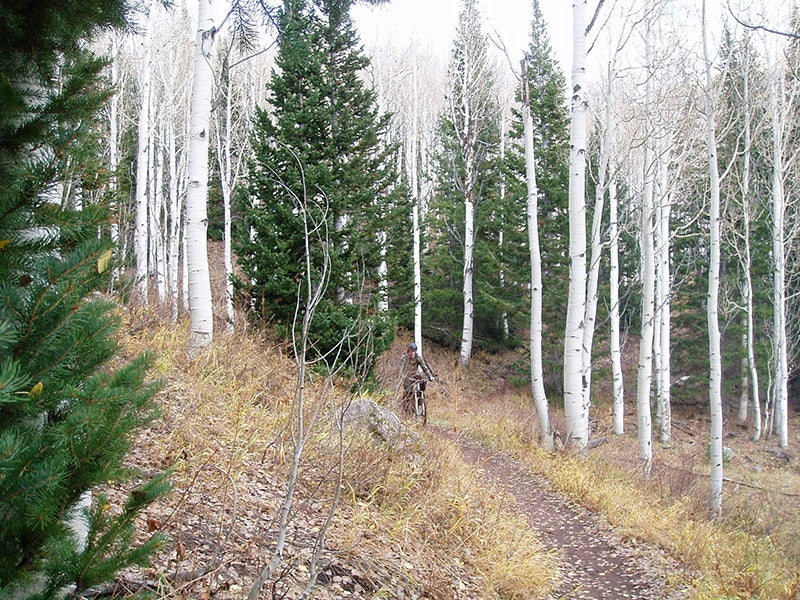 The Wasatch Crest Trail in Utah. The “Roadless Rule” protects nearly 60 million acres of forestland, including watersheds serving as drinking water sources for nearly one in every five people across the country.
(MotionBoy1 / CC BY-NC-ND 2.0)