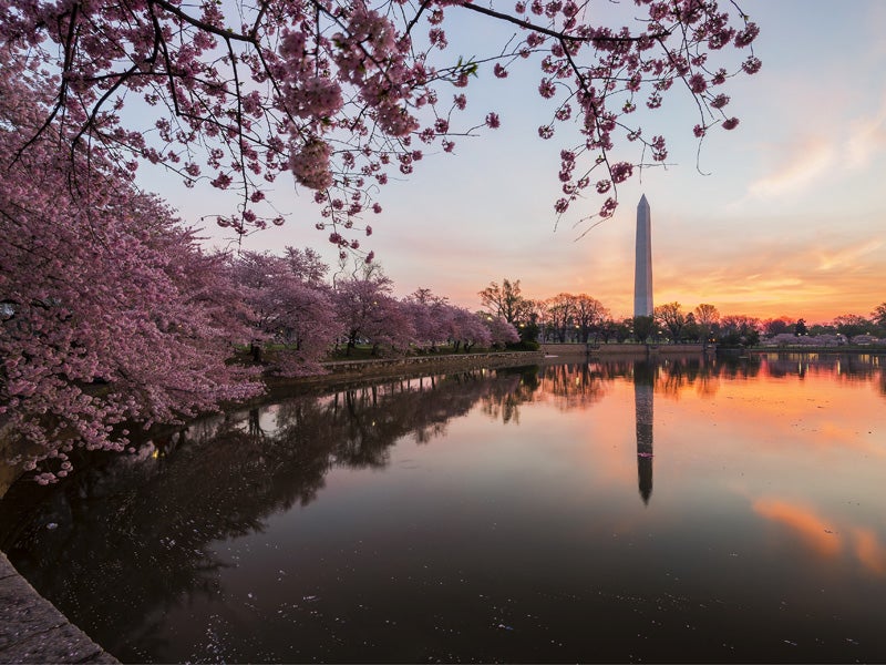 This week the EPA finalized a Clean Water Rule that will better protect our nation&#039;s waterways, but polluting industries are looking to Congress to block this rule.