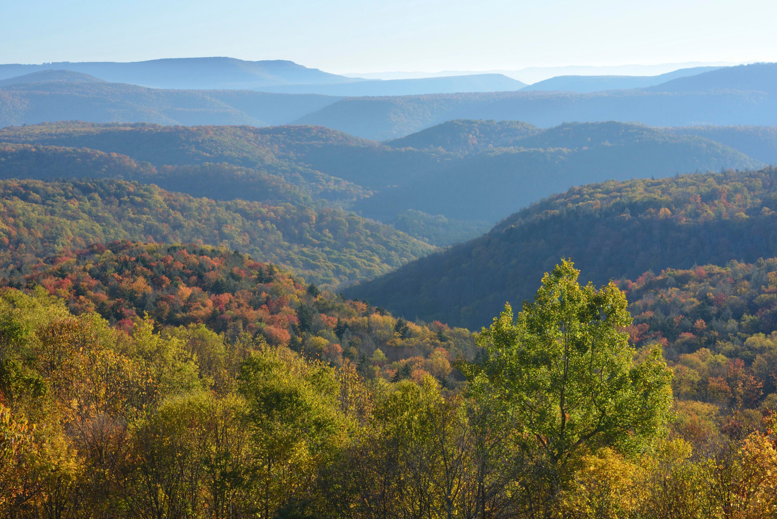 Autumn scenery along Allegheny Highland Parkway in West Virginia, USA