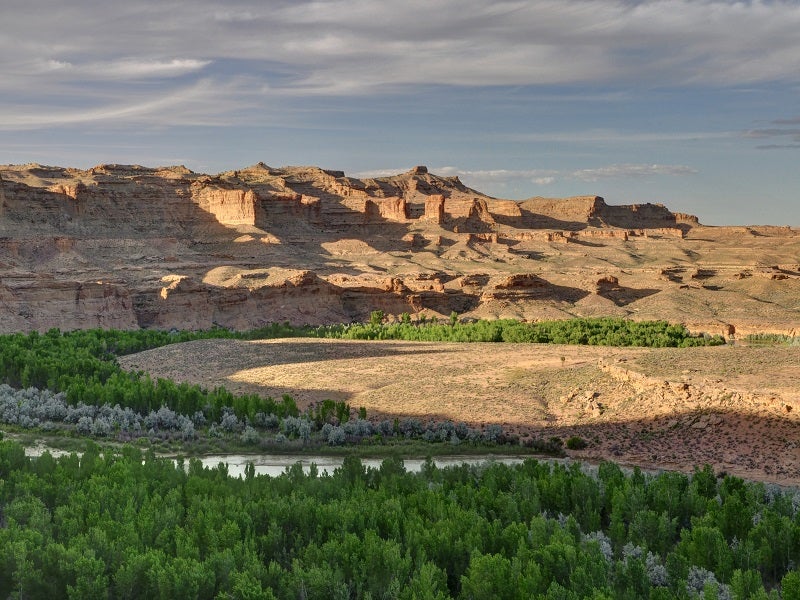 White River, north of the Enefit project area.
(Ray Bloxham / Southern Utah Wilderness Alliance)