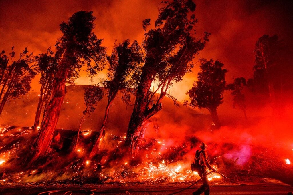 Flames consume a hillside as firefighters battle the Maria Fire in Santa Paula, Calif., on Nov. 1, 2019. (Noah Berger / AP Photo)