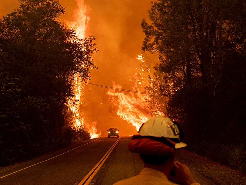 Un automóvil pasa por entre las llamas durante el incendio Carr, en Shasta, California. El Secretario de Interior, Ryan Zinke, ha declarado falsamente que mayores talas forestales contribuirían a prevenir los devastadores incendios que azotan el Oeste.
