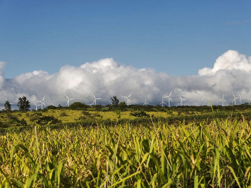 A row of wind turbines on Oahu, Hawaii.