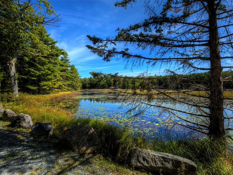 Witch Hole Pond in Acadia National Park.