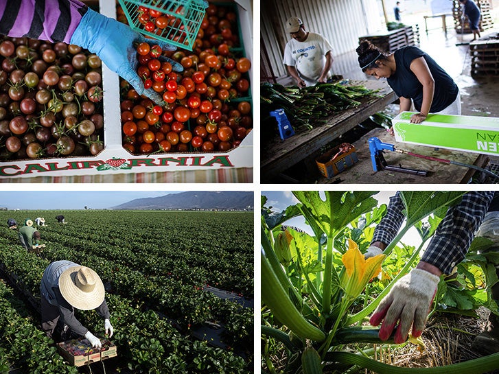 Farmworkers.