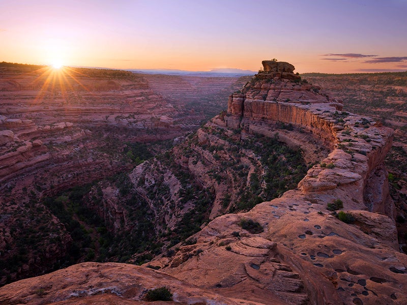 First light over Cedar Mesa in southeast Utah, Bears Ears National Monument. Bears Ears is one of the national monuments that Earthjustice is fighting to preserve.