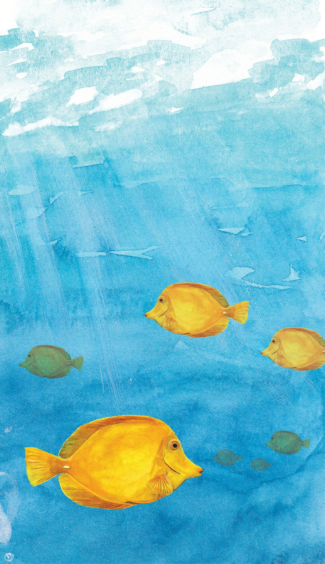 Illustration of yellow tangs. Light shining down from water surface.