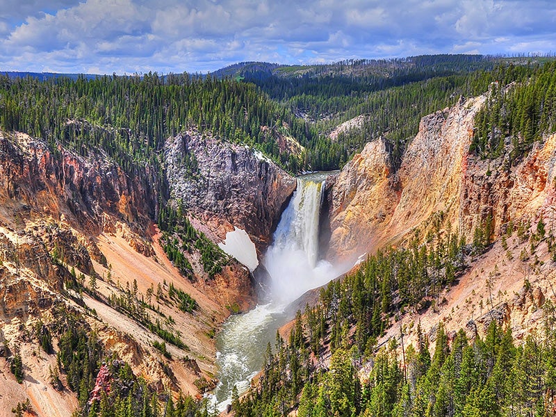 Yellowstone National Park.
(Photo courtesy of Brook Ward)