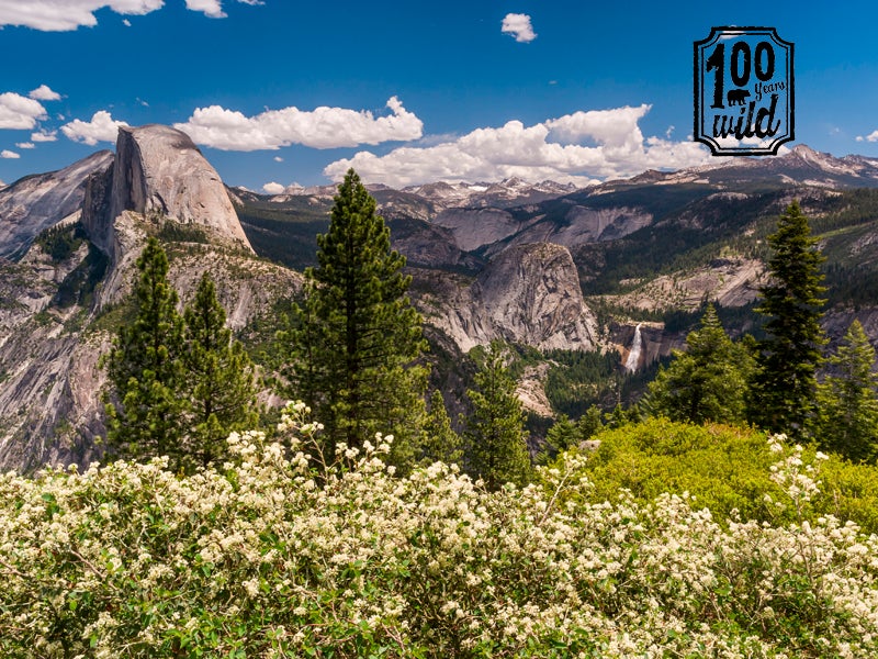 As we celebrate the centennial of the National Park Service, we must remember that the preservation of lands like Yosemite National Park (above) for all people and creatures is a basic tenet of the native peoples’ wisdom about the natural world.